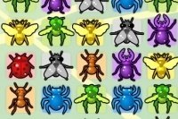 Bejeweld z Owadami Bejeweld z Owadami
